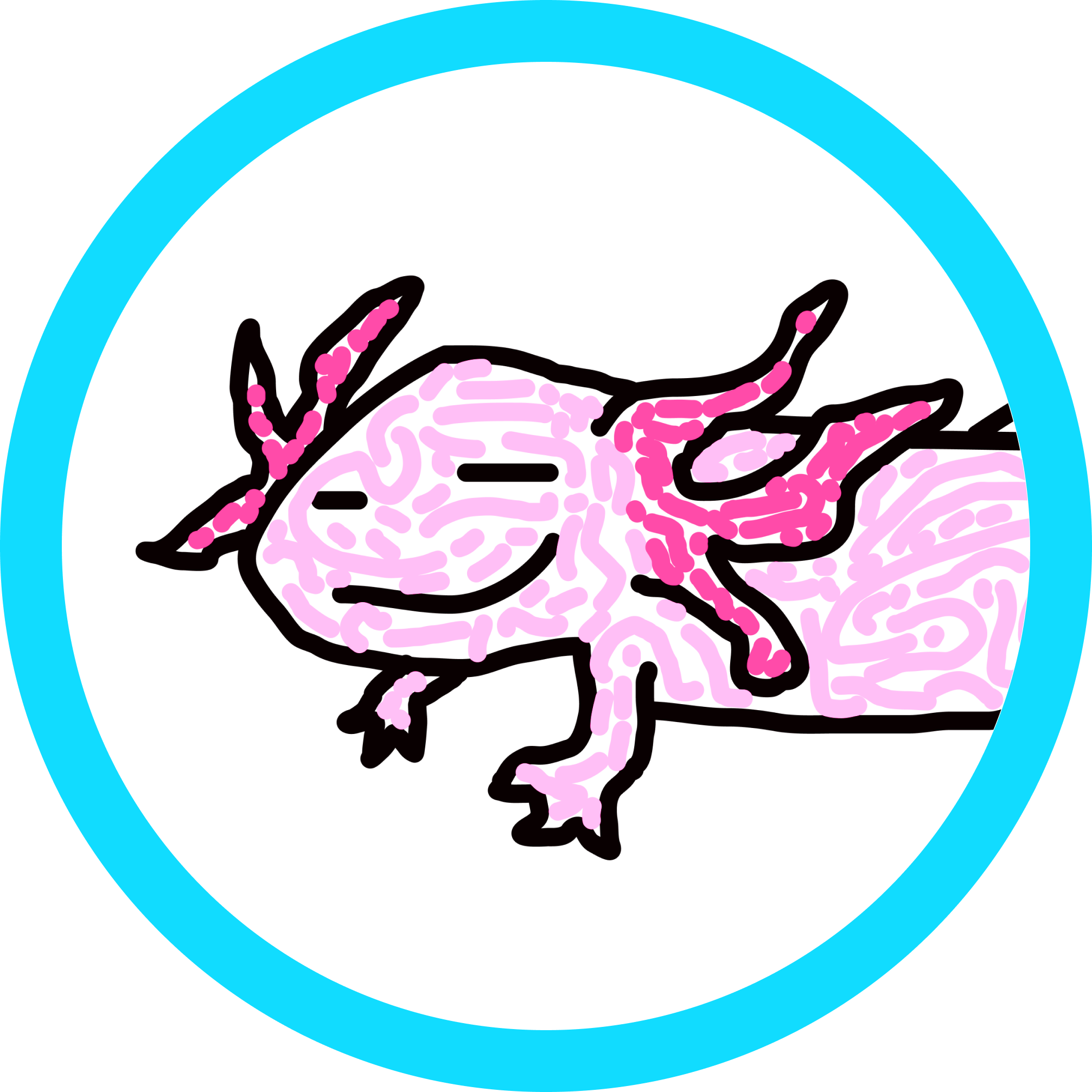 Wonky Axolotl